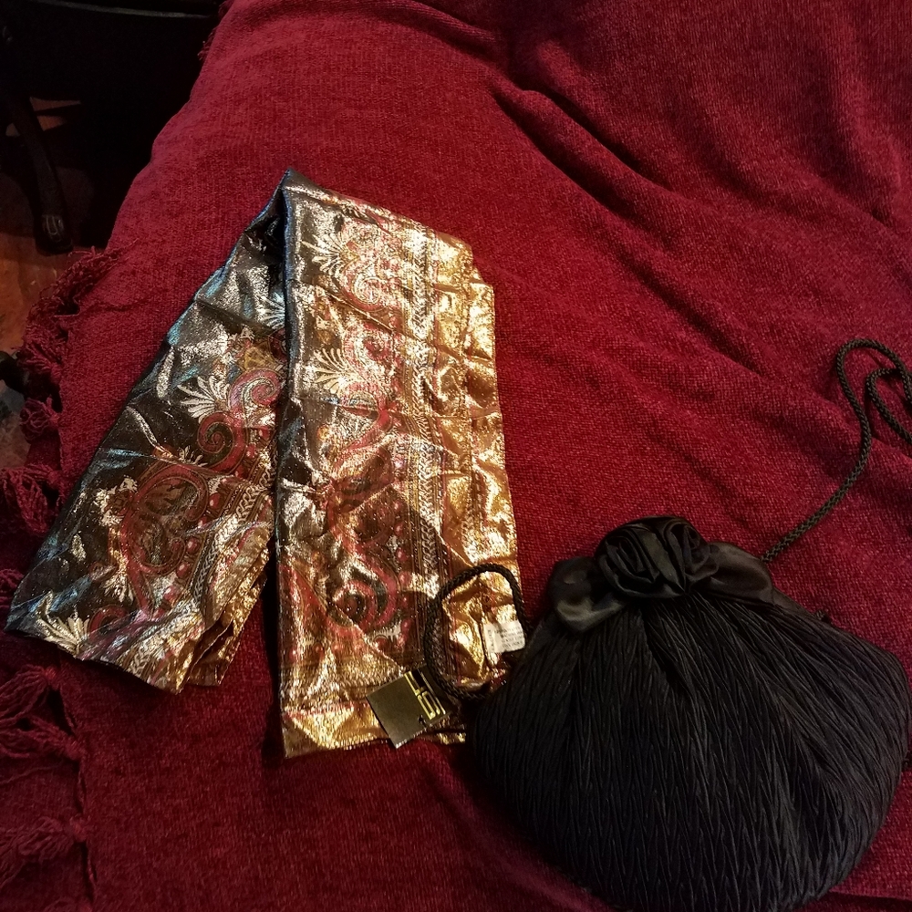NWT Special Occasion bag & scarf